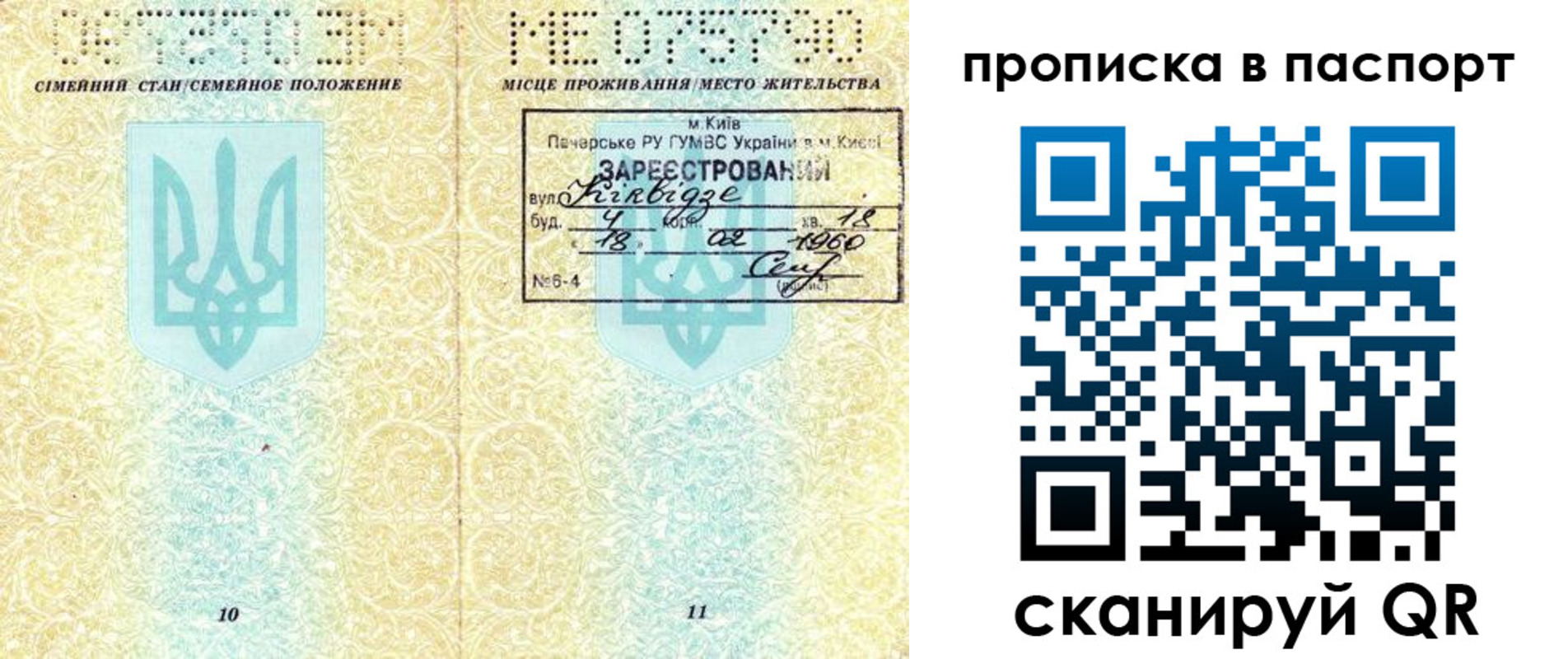 прописка паспорт в Алексеевке